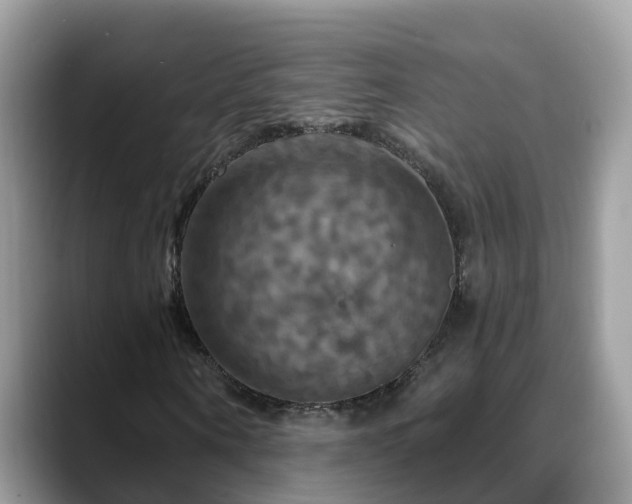 X0000088690866200706071518