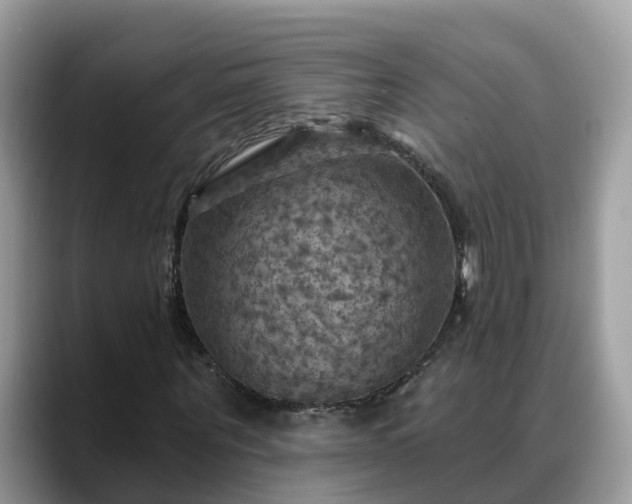 X0000088690867200706071518