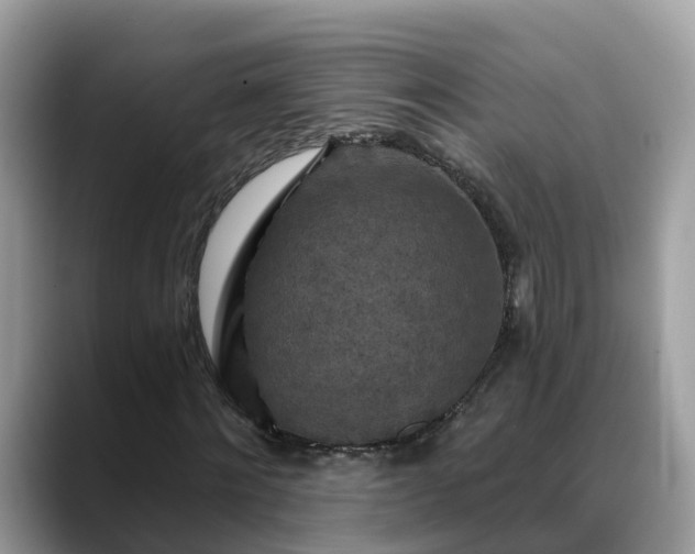 X0000088690868200706071518