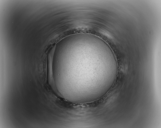 X0000088690869200706071518