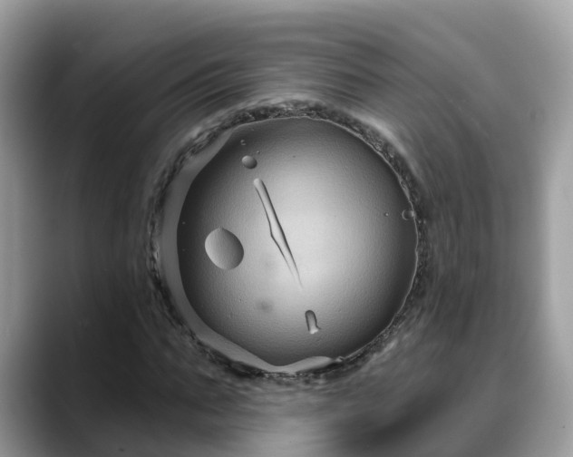 X0000088690871200706071518
