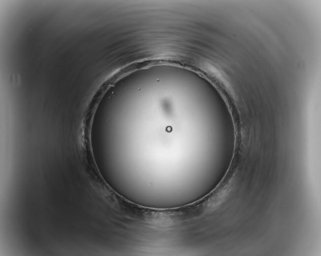 X0000088690875200706071517