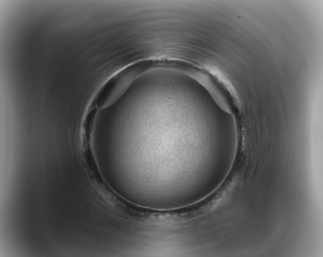 X0000088690876200706071517