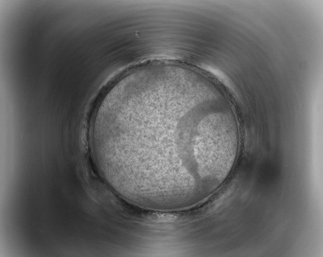 X0000088690878200706071517