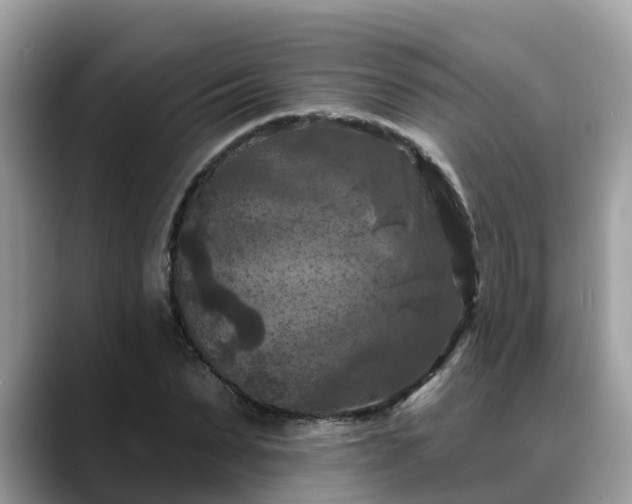 X0000088690879200706071517