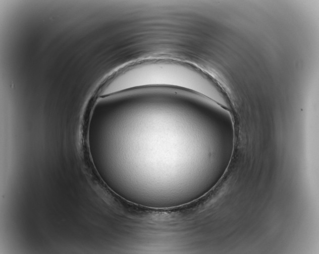 X0000088690880200706071517