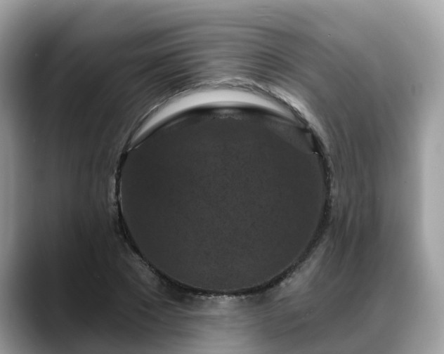 X0000088690881200706071517