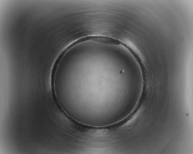 X0000088690884200706071517