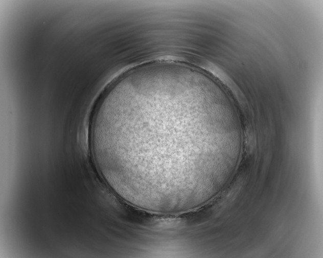 X0000088690886200706071517