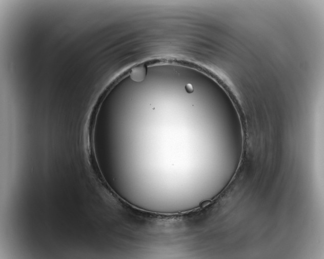 X0000088690887200706071517