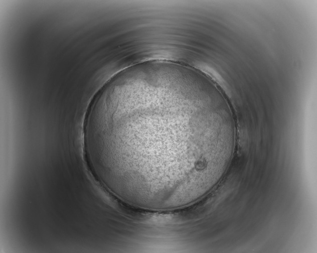 X0000088690890200706071517