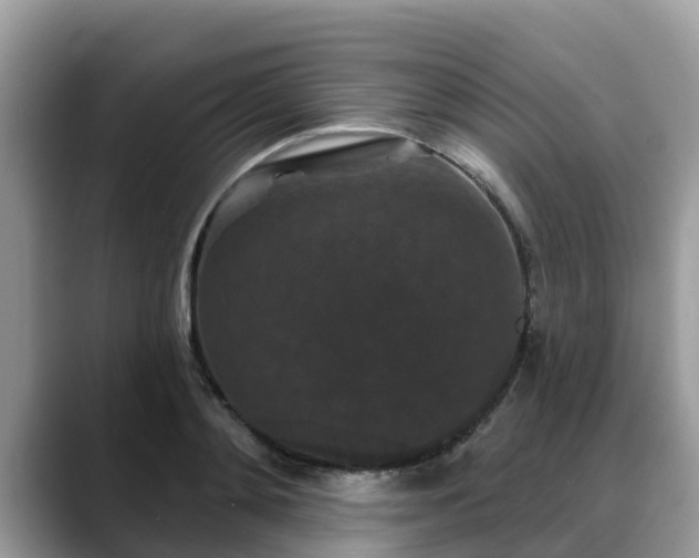 X0000088690892200706071517