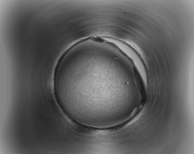 X0000088690894200706071517