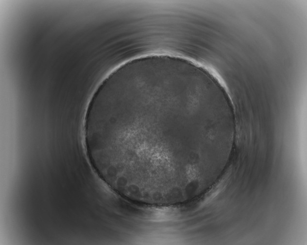 X0000088690895200706071517