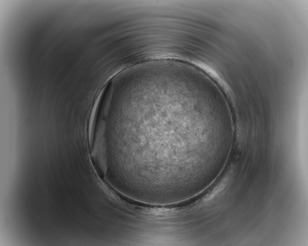 X0000088690897200706071517