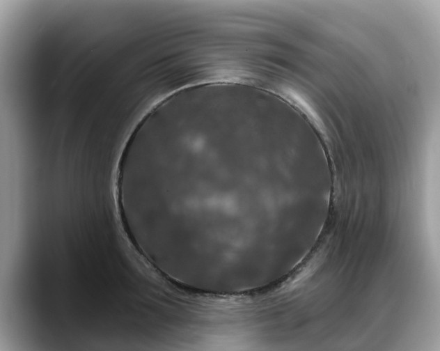 X0000088690899200706071517