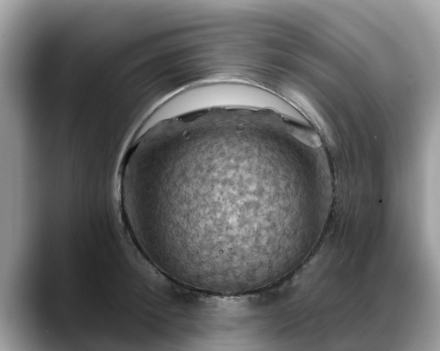 X0000088690900200706071517