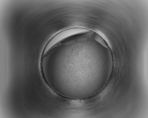 X0000088690901200706071517