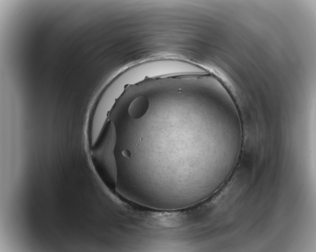 X0000088690902200706071517