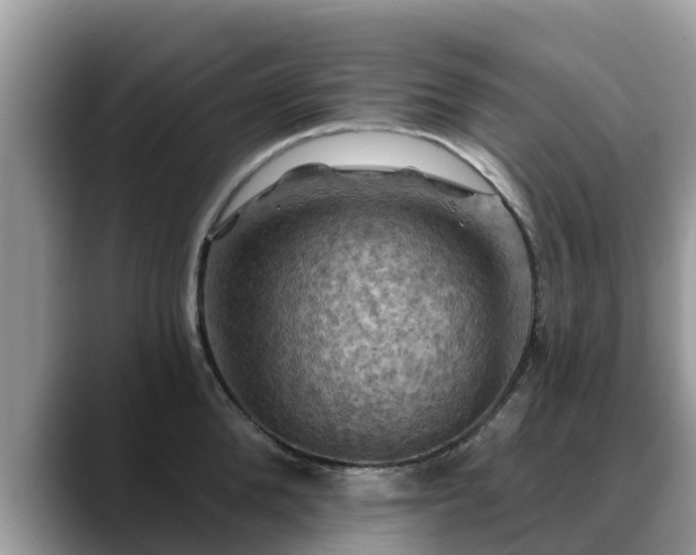 X0000088690904200706071517