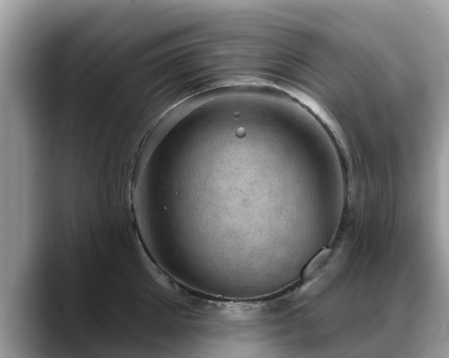 X0000088690905200706071517