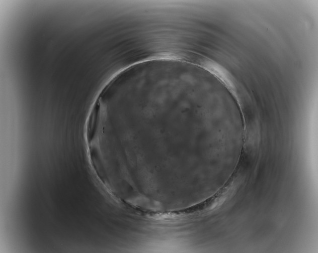 X0000088690907200706071517