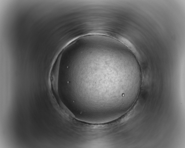 X0000088690908200706071517