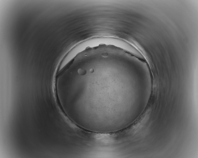 X0000088690909200706071517