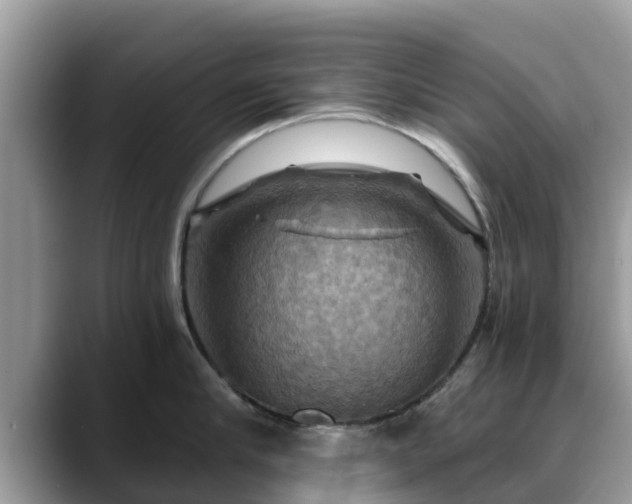 X0000088690910200706071517