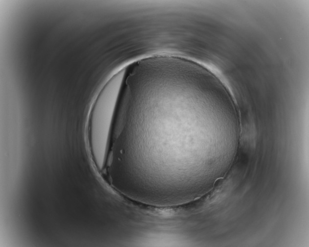 X0000088690911200706071517
