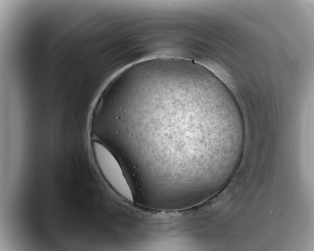 X0000088690912200706071517