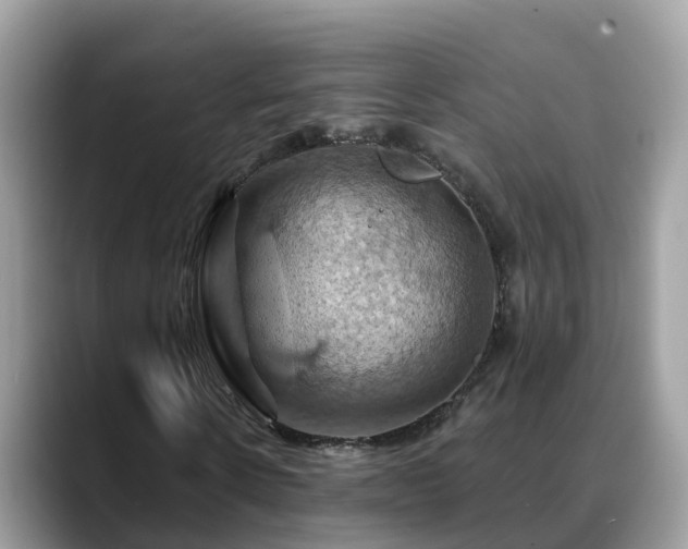 X0000088690914200706071516
