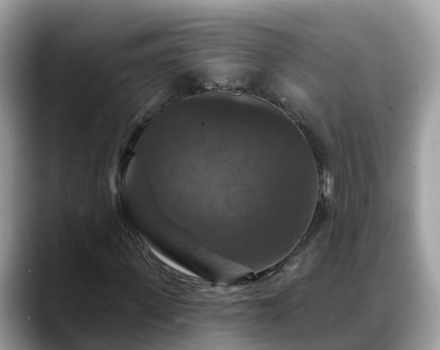 X0000088690915200706071516