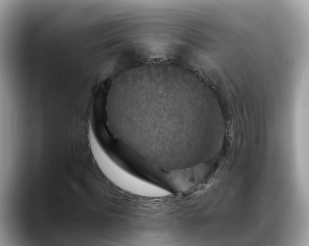 X0000088690916200706071516