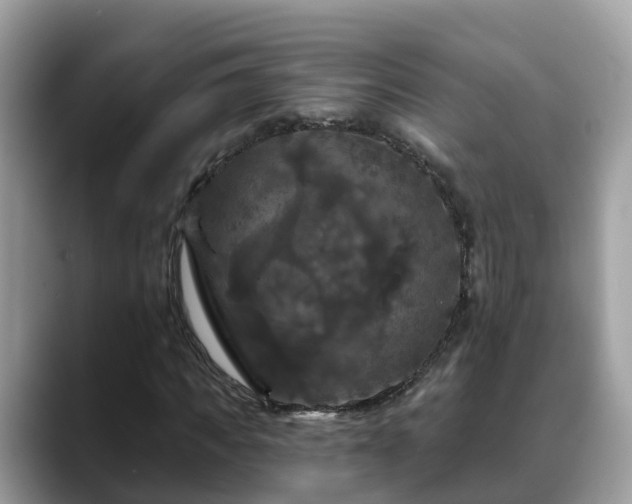X0000088690917200706071516