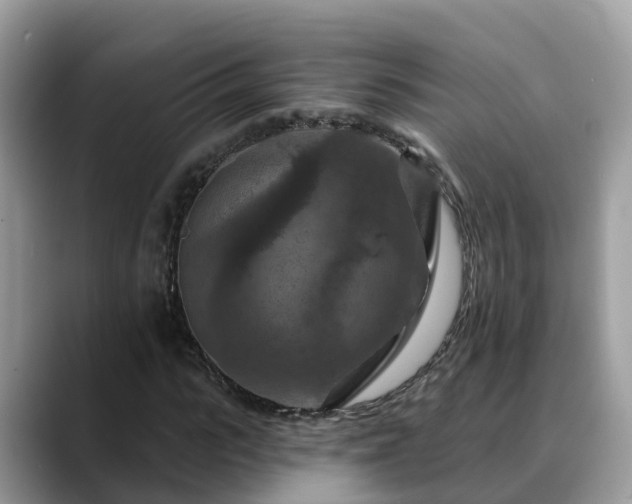 X0000088690919200706071516