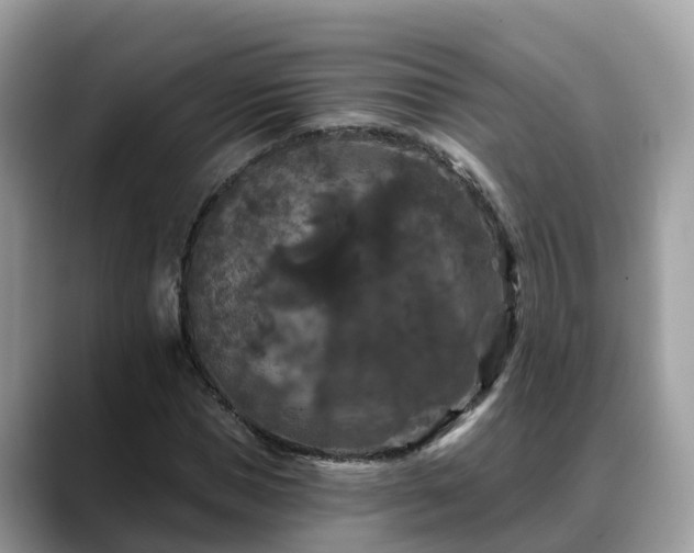 X0000088690921200706071516