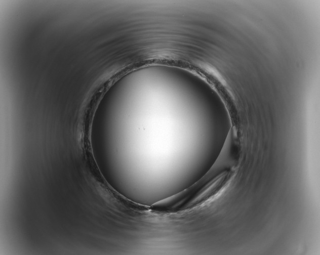 X0000088690922200706071516