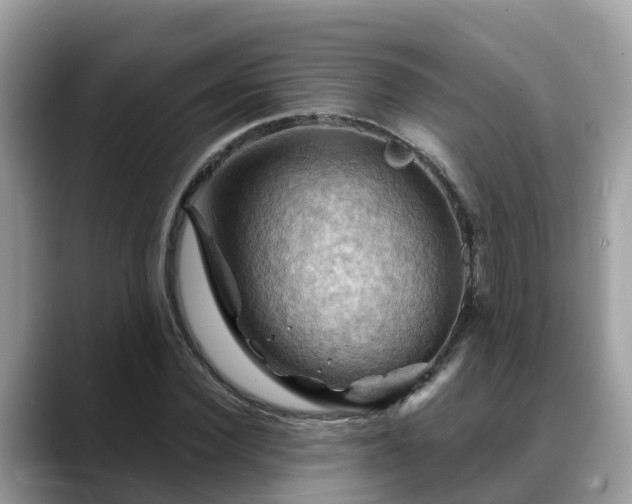 X0000088690924200706071517