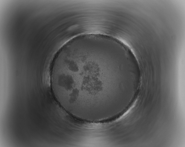 X0000088690925200706071517
