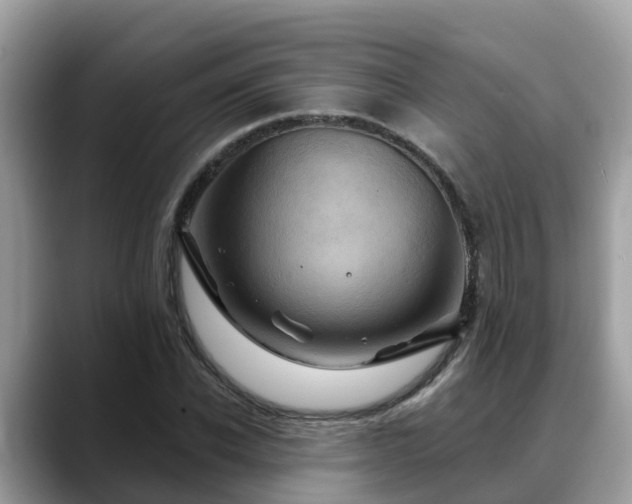 X0000088690926200706071517
