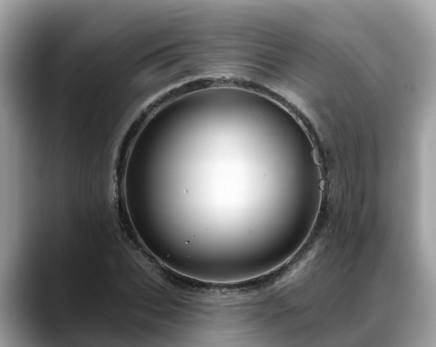 X0000088690927200706071517