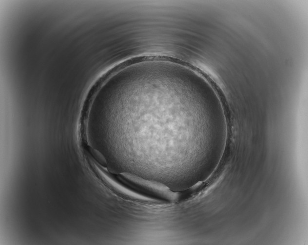 X0000088690928200706071517