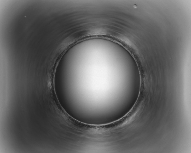 X0000088690929200706071517