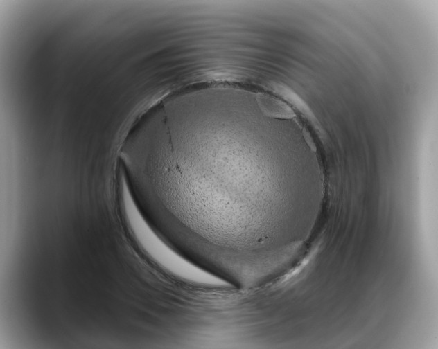 X0000088690930200706071517
