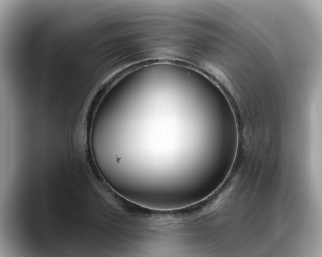 X0000088690931200706071517