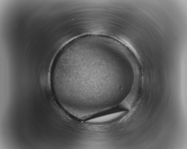 X0000088690932200706071517