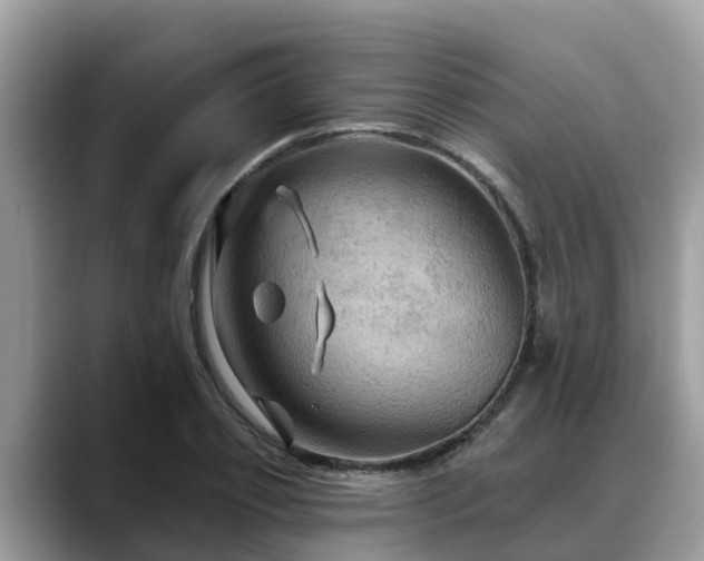 X0000088690933200706071517