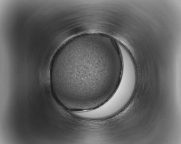 X0000088690934200706071517