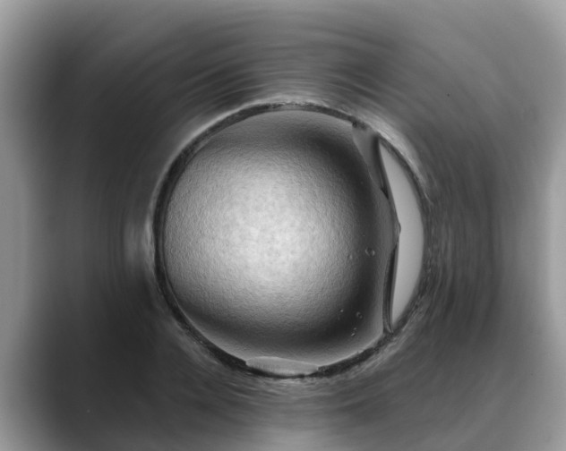 X0000088690936200706071517